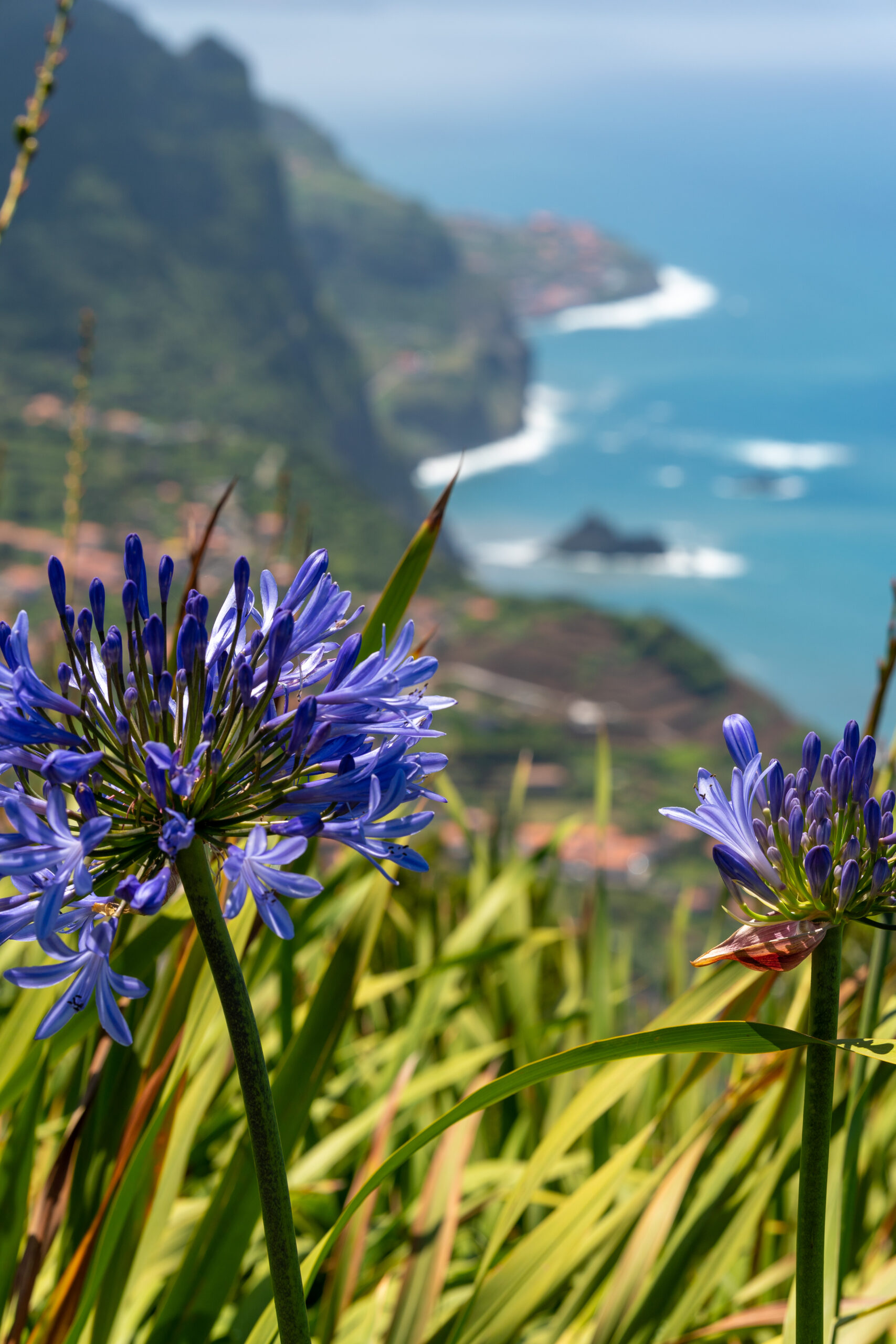 Madeira Ponta do Pargo
