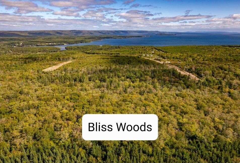Kanada Bliss Woods