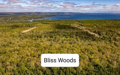 Power place ‘Bliss Woods’
